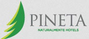 Logo Pineta